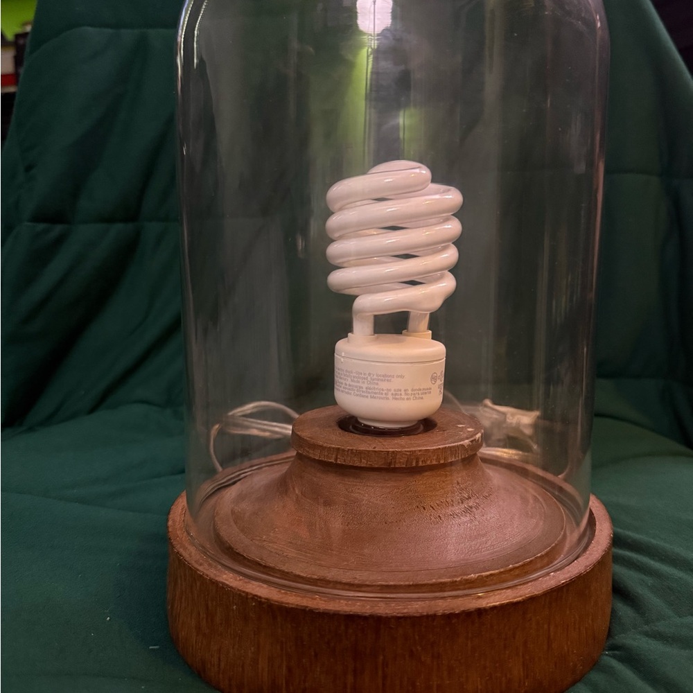 Wooden Base Glass Cloche with Light Bulb